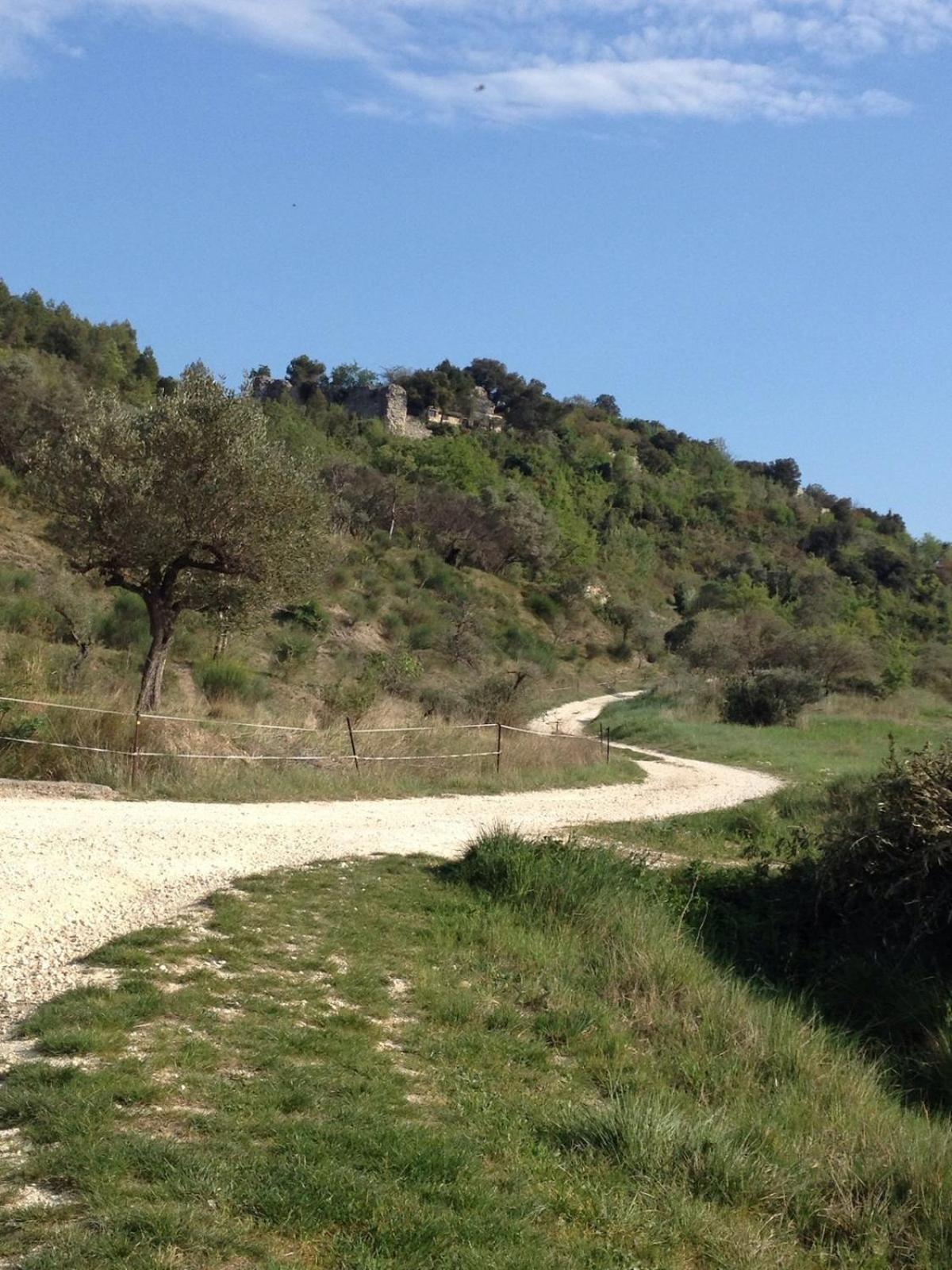 Le Castellas - Gite En Pleine Nature Montmirat 外观 照片